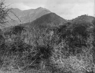 Landschaft : Blick über die Steppe auf die Berge des Pare-Gebirges