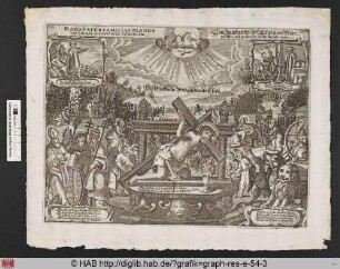 Homo pater familias plandavit vineam, et fodit in ea torcular.
