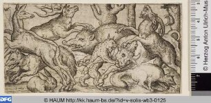 Verschiedene Tiere