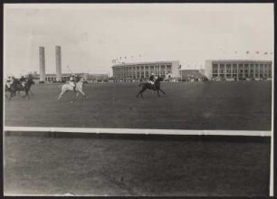 Polo auf dem Maifeld des Berliner Olympiageländes