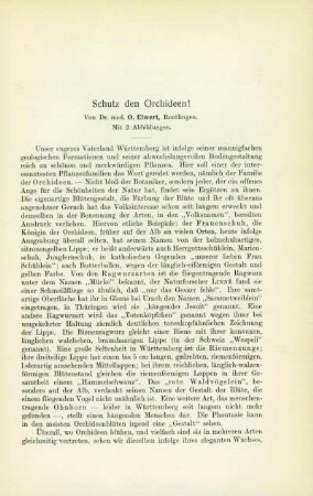 Schutz den Orchideen!