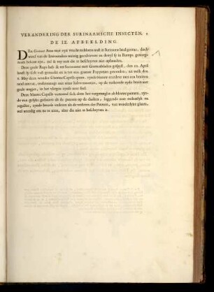 De IX. Afbeelding