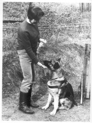Oftersheim. Internationale Blindenführhundeschule. Künftiger Führhund und Ausbilder