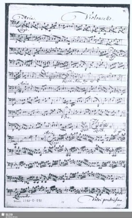 Violoncello.