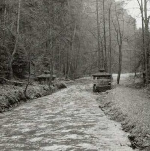 Bad Schandau, Stau- und Holzfanganlage der Flößerei, Relikt