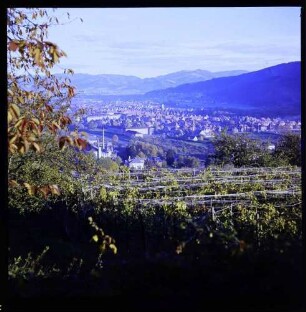 Freiburg: Blick vom Panoramaweg auf Oberwiehre, Schlossberg und Dreisamtal, Vordergrund horizontal gezogener Weinberg