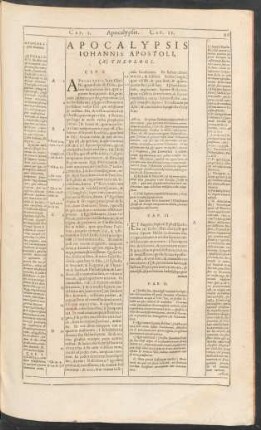 Apocalypsis Iohannis Apostoli, (A) Theologi