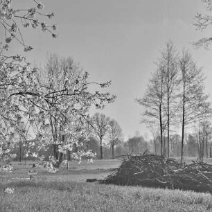 Landschaftsbild. Frühling im Spreewald. Blühende Wiesen. : Wobraz krajiny. Nalěćo w Błótach. Kćějate łuki.