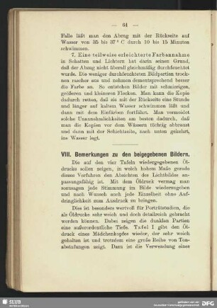 VIII. Bemerkung zu den beigegeben Bildern
