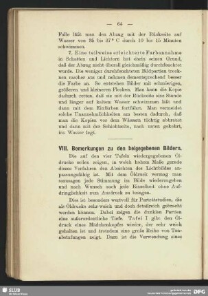 VIII. Bemerkung zu den beigegeben Bildern