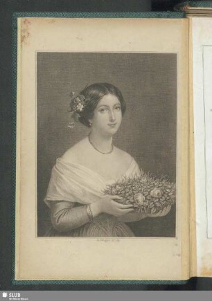 Frühlingsblumen