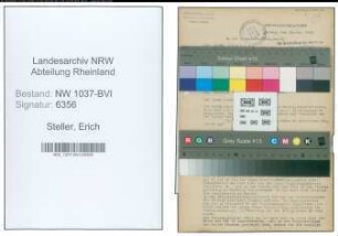 Entnazifizierung Erich Steller , geb. 30.11.1901 (Kaufm.Angestellter)