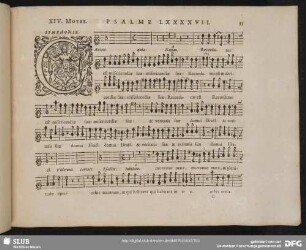 XIV. Cantate Domino canticum novum