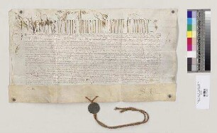 Papst Alexander [VI.] inkorporiert die Pfarrkirche St. Rupert in Regensburg vollständig dem Kloster St. Emmeram, sodass das Besetzungsrecht und die Besitzeinweisung gänzlich dem Abt und dem Konvent zustehen. Er bestätigt die bereits vollzogene Inkorporation der Einkunftstitel aus der Pfarrei in das Klostervermögen und erlaubt die dauerhafte Ausübung der Pfarrrechte durch einen vom Kloster einzusetzenden Vikar. S=A