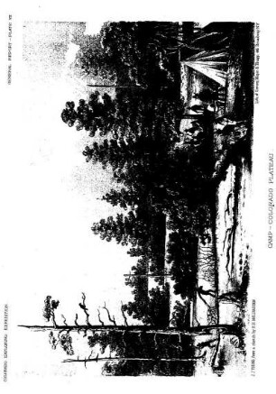 Camp Colorado Plateau