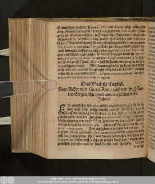 Das Sechste Capitel. Vom Acker und Gartenbaw/ auch von fruchtbarkeit/ Erdgewechsen/ und anderen zufellen dieses Jahres.