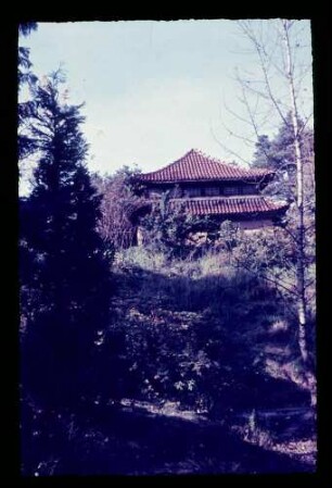 Frohnaus -Buddha-Tempel 24.10.54.