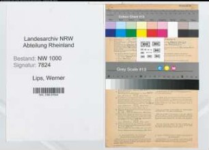 Entnazifizierung Werner Lips, geb. 01.11.1900 (Vers.Kaufmann)