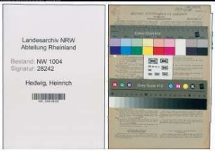 Entnazifizierung Heinrich Hedwig , geb. 02.05.1893 (Stuckateur)
