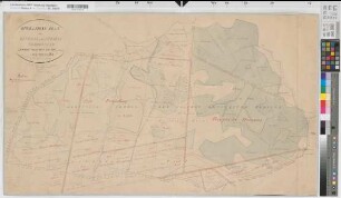 Ottmarsbocholt (Senden) - Ascheberg (Ascheberg), Rinkerode (Drensteinfurt) - Amelsbüren (Münster), Venne (Senden), Vermessung und Teilung der Davert, Operationsplan Sektion VII Pröpstingsche Davert und des Holthofes