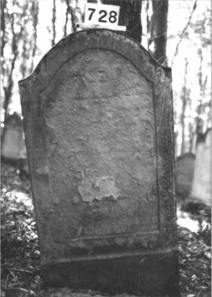 Grabstein 728 (Index: 99900438) Material: Sandstein Zustand: völlig verwittert Maße HxBxT: 134x70x10 cm Beschreibung: Stele mit Konvexbogenabschluss Besonderheit: vermutete Identifizierung nach Gräberverzeichnis: Grabstein 728