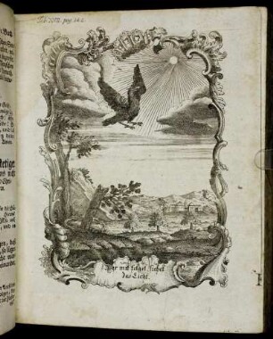 Tab. XVII. pag. 142.