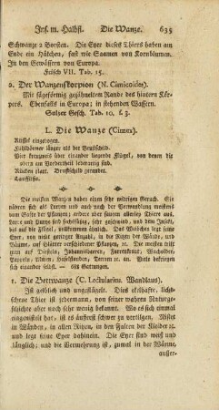 L. Die Wanze