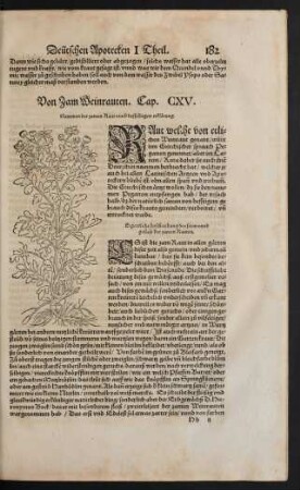 Von Zam Weinrauten. Cap. CXV.