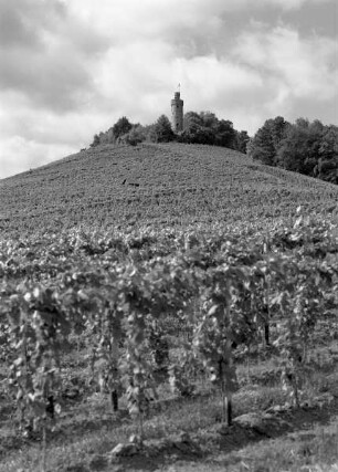 Heuchelberger Warte