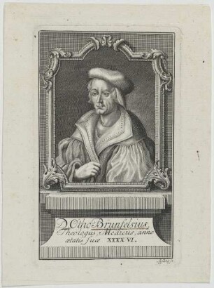 Bildnis Otto Brunfels