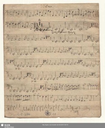 Violono.