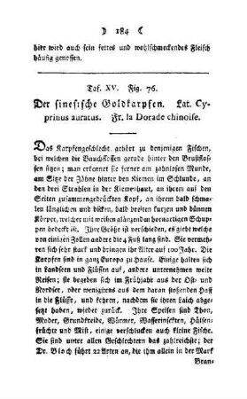 ¬Der¬ sinesische Goldkarpfen : Taf. XV, Fig. 76