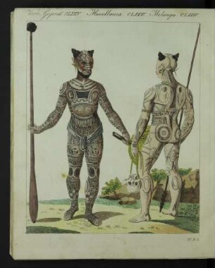 Tafel: Verm. Gegenst. CLXXIV. [...]