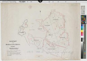 Lützel-Bilstein (Hilchenbach) Spezialkarte der Oberförsterei (ehem. Hilchenbach?) Sektion 1 Schutzbezirk Lützel nach 1903 1 : 5000 66 x 92,5 Zeichnung KSA Nr. 1692