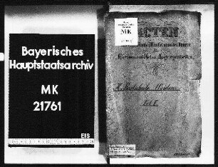 Weiden. Realschule. Im allgemeinen.