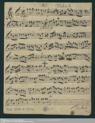 Violin[o]: 2.