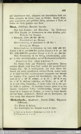 Wau, Gilbkraut; Reseda luteola