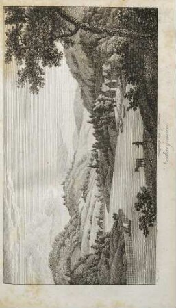 Neckargemünd