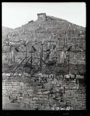 Weinberge 1934