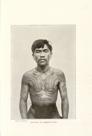 Plate CXLV. An elaborate tattoo