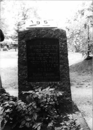 Grabstein 195