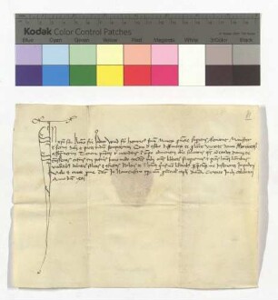 Heinrich [Karrer], Provinzial (minister) der Minderbrüder der Provinz Oberdeutschland (superioris Alemaniae), an Bruder Jodokus Wind: Er ernennt ihn mit Rat seiner Definitoren zum Lesemeister des Hauses München (domui Monacensi).