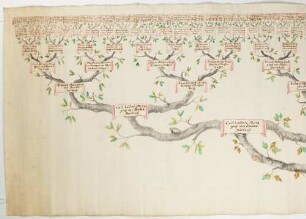 Stammbaum der Kurfürstin von Pfalzbayern, Friderica Wilhelmina Carolina, geb. Markgräfin von Baden-Durlach - BSB Cgm 3578