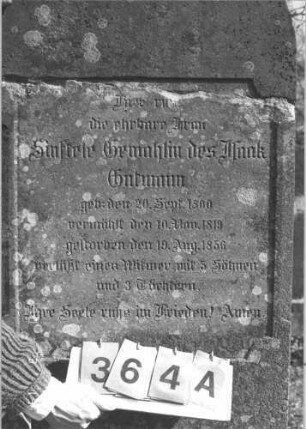 Grabstein 364 (Index: 99786223) Zustand: Vorderseite vollständig abgeblättert Maße HxBxT: 184x66x17 cm: Grabstein 364A