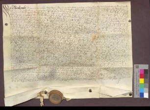 Bestandsbrief der Basler Dompropstei für Michael Beringer über den Meierhof in Tiengen.