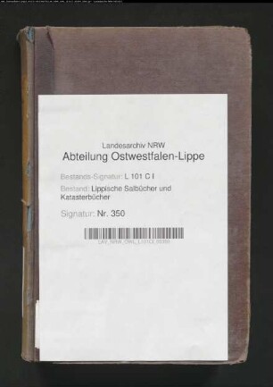 Salbuch der Stadt Lemgo von 1861, Bd. 7 (Duplikat)
