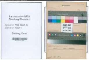 Entnazifizierung Ernst Diesing , geb. 04.08.1894 (Garteninspektor)
