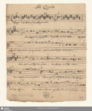 Alt. Capella.