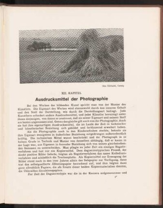 XII. Kapitel. Ausdrucksmittel der Photographie