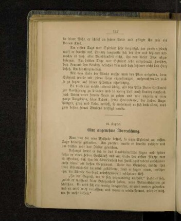 24. Kapitel. Eine angenehme Überraschung.